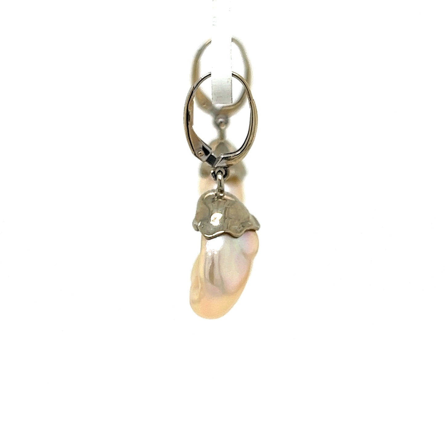 Oyster Earrings SOLD